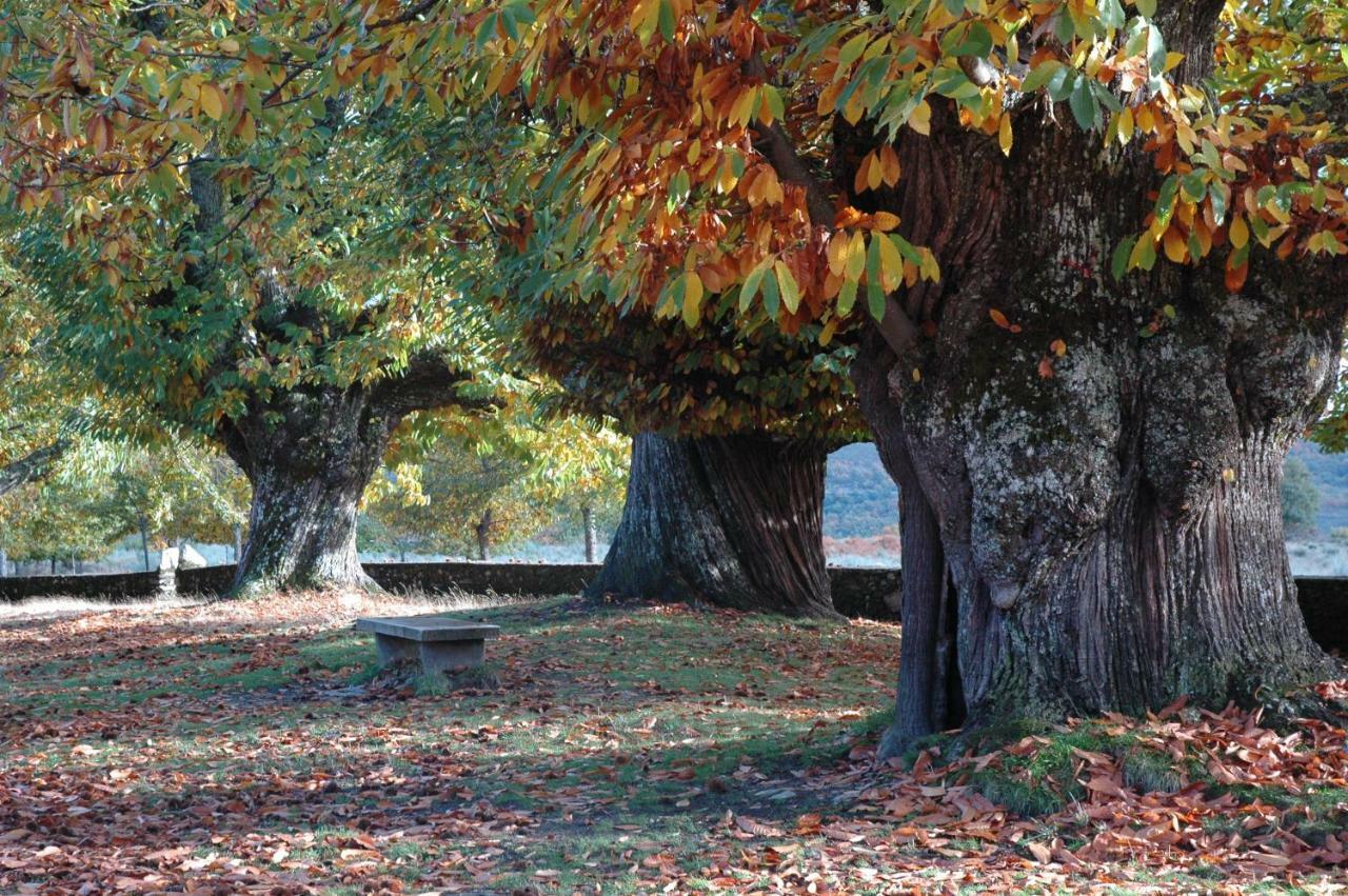 La Era De Sanabria Villa Villarino de Sanabria Dış mekan fotoğraf