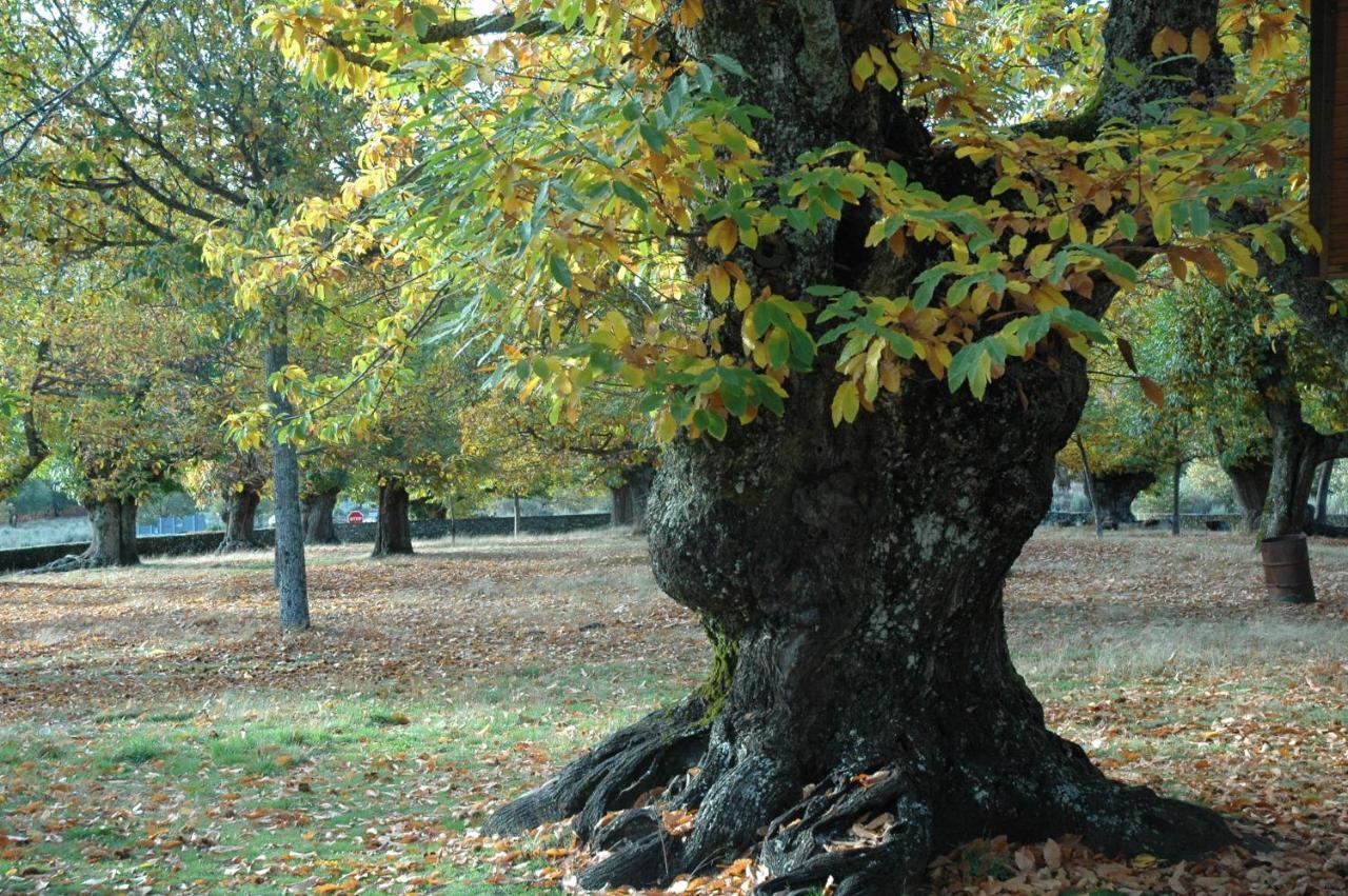 La Era De Sanabria Villa Villarino de Sanabria Dış mekan fotoğraf